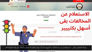 استعلام عن مخالفات المرور مجانًا برقم اللوحة مصر
