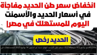 سعر طن الحديد اليوم حديد عز