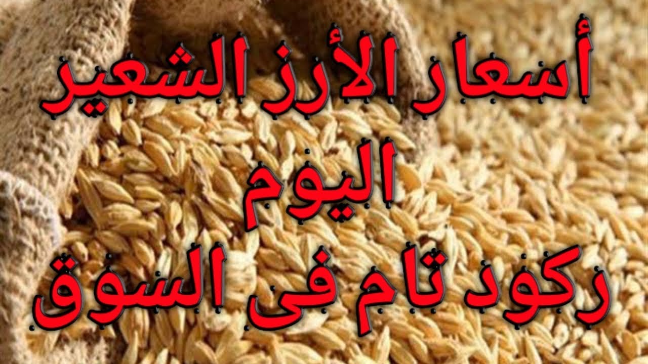 اسعار الارز الشعير