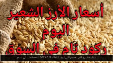 سعر الأرز اليوم