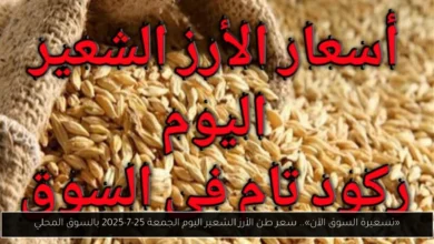 سعر طن الأرز الشعير اليوم