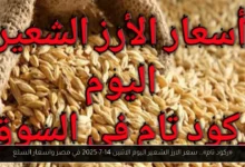 سعر الارز الشعير اليوم