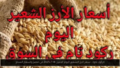 سعر الارز الشعير اليوم