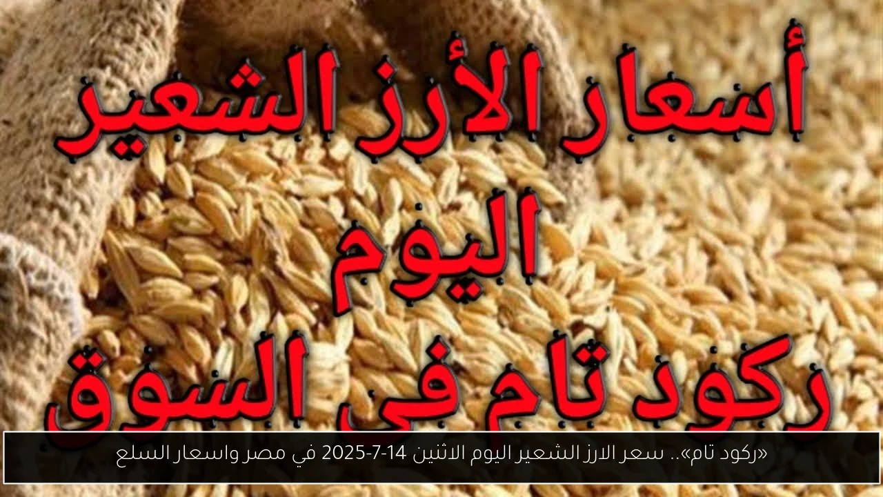 سعر الارز الشعير اليوم