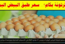 سعر كرتونة البيض