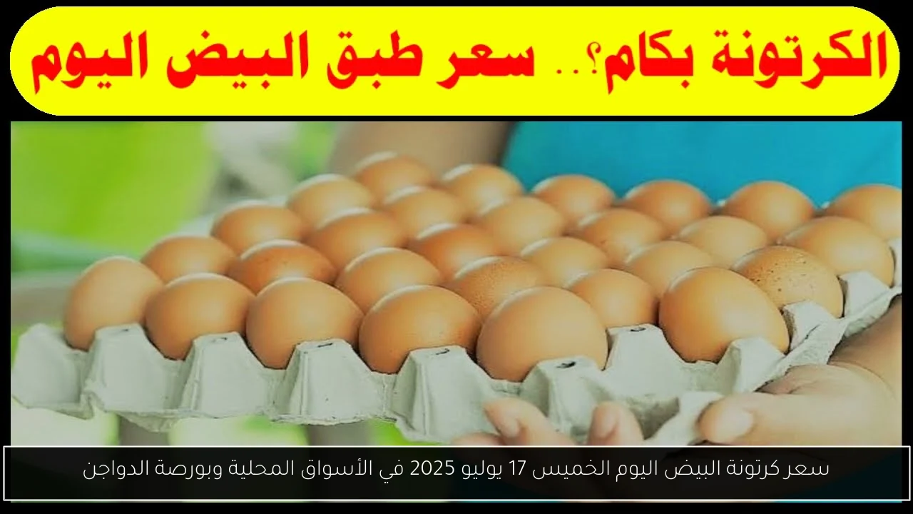 سعر كرتونة البيض