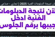 نتيجة الدبلومات الفنيه برقم الجلوس