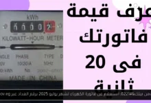 استعلام عن فاتورة الكهرباء