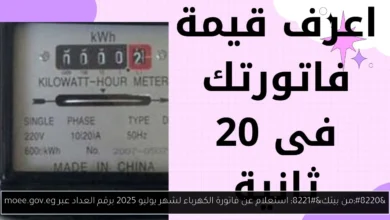 استعلام عن فاتورة الكهرباء