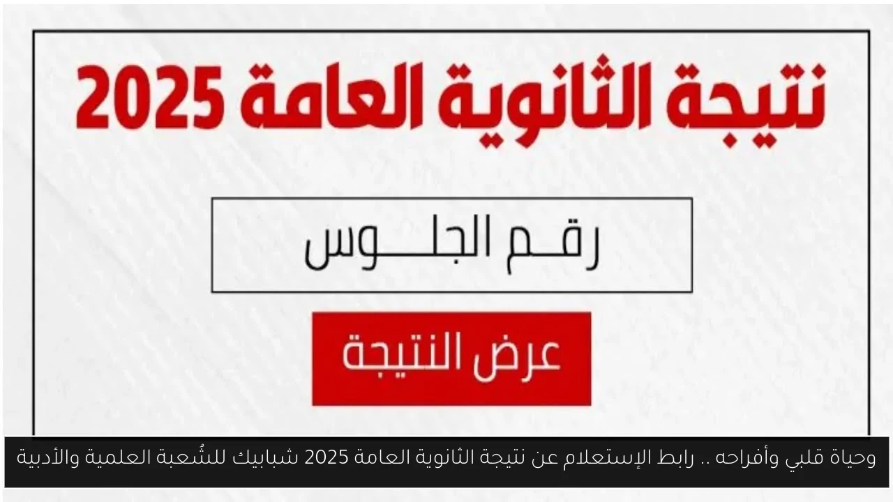 نتيجة الثانوية العامة 2025 شبابيك