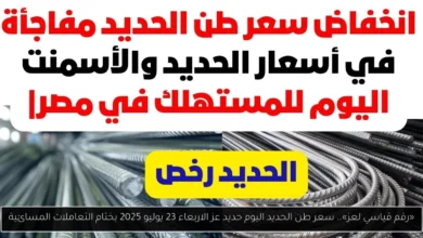 سعر طن الحديد اليوم حديد عز