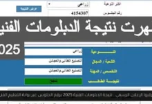 نتيجة الدبلومات الفنية