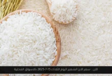 سعر الارز الشعير اليوم
