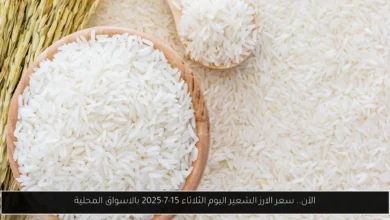 سعر الارز الشعير اليوم