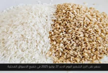 سعر طن الارز الشعير اليوم