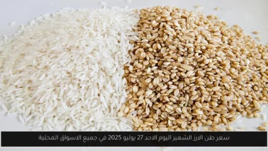 سعر طن الارز الشعير اليوم