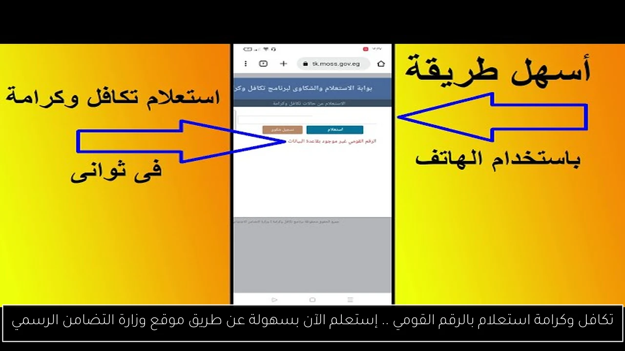 تكافل وكرامة استعلام بالرقم القومي
