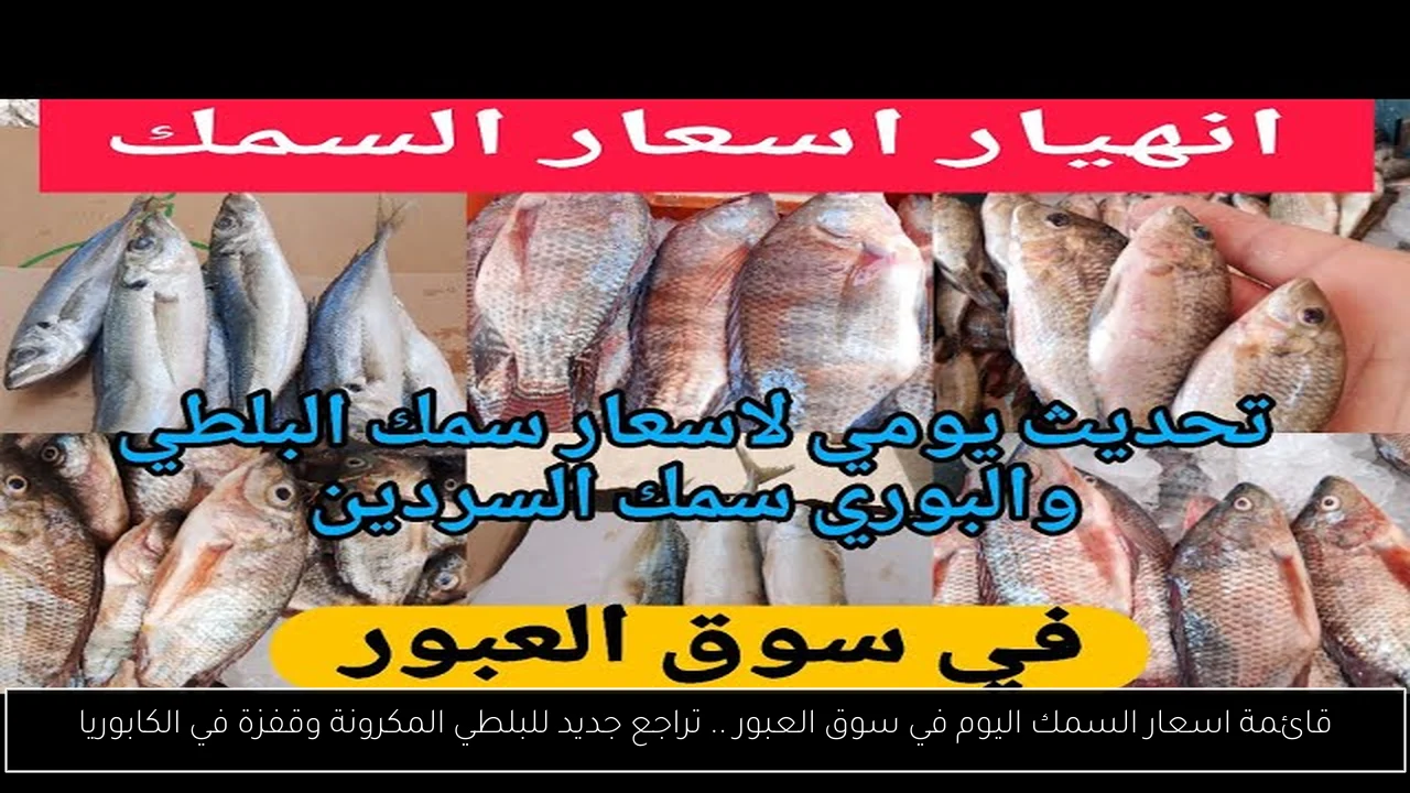 اسعار السمك اليوم في سوق العبور
