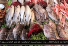 اسعار السمك اليوم