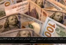 أسعار العملات في السوق السوداء اليوم في مصر
