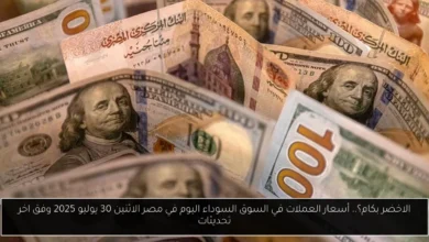 أسعار العملات في السوق السوداء اليوم في مصر