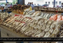 أسعار السمك في سوق العبور اليوم