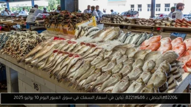 أسعار السمك في سوق العبور اليوم