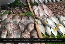 اسعار السمك اليوم 