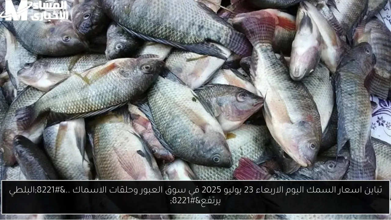 اسعار السمك اليوم