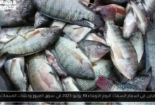 اسعار السمك اليوم