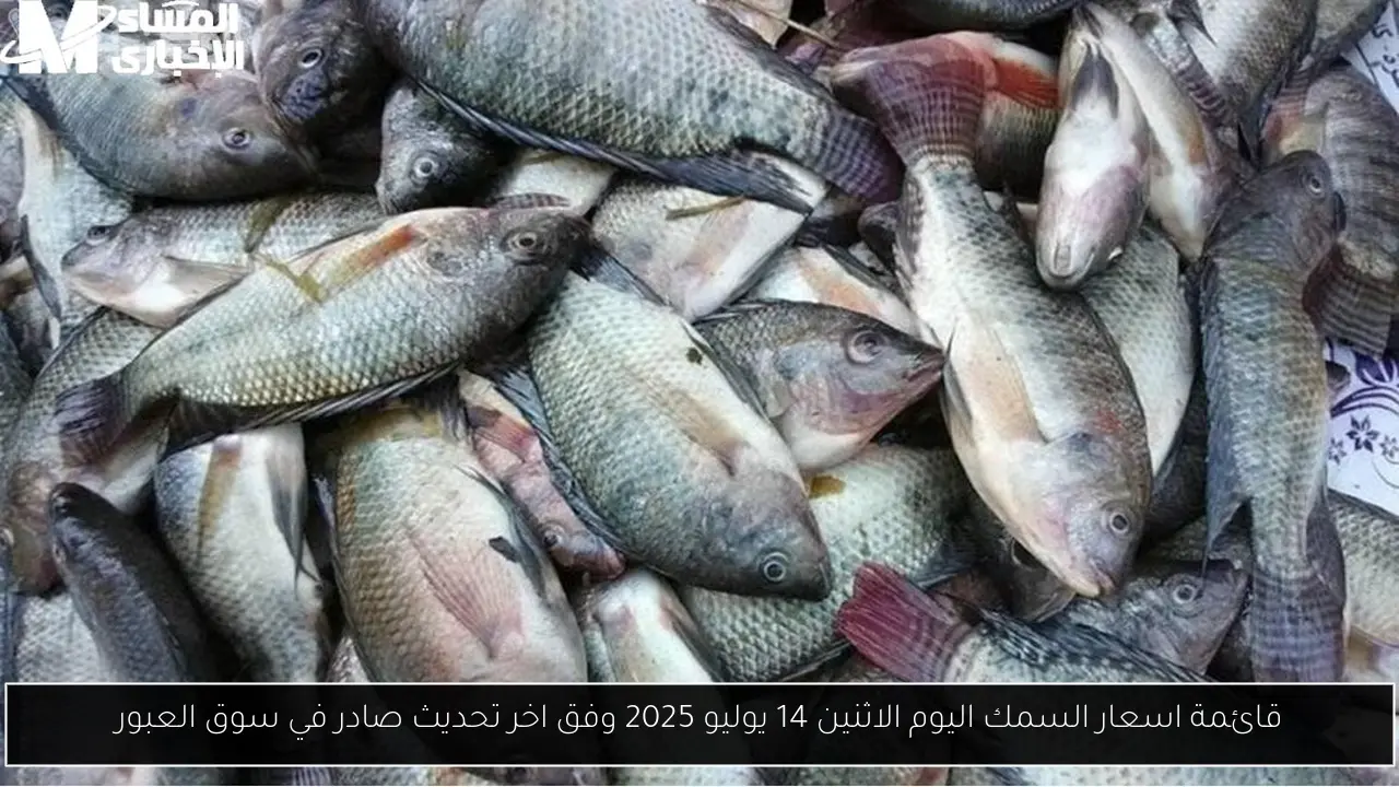 اسعار السمك اليوم
