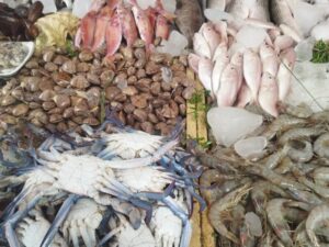 اسعار السمك اليوم