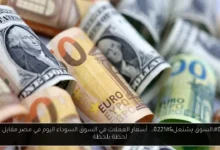 أسعار العملات في السوق السوداء اليوم في مصر