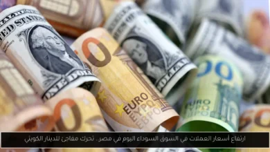 أسعار العملات في السوق السوداء اليوم في مصر