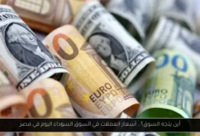 أسعار العملات في السوق السوداء اليوم في مصر