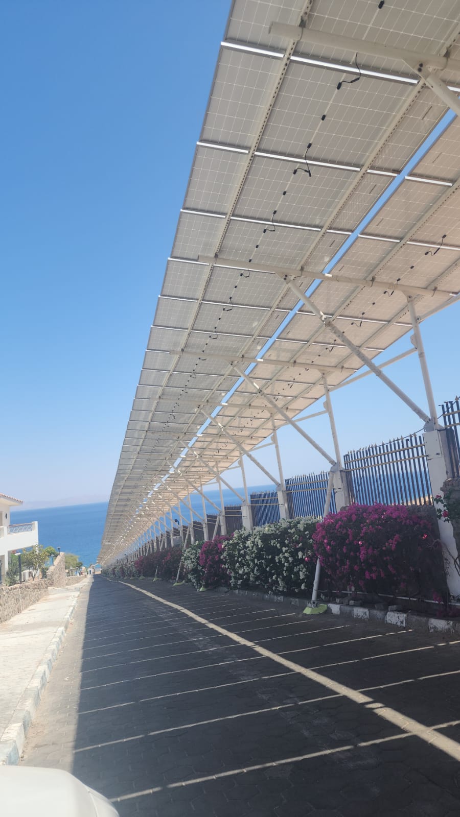شركة أوبتميزايشن للخدمات الهندسية والتوريدات (1) شركة أوبتميزايشن للخدمات الهندسية والتوريدات (1)