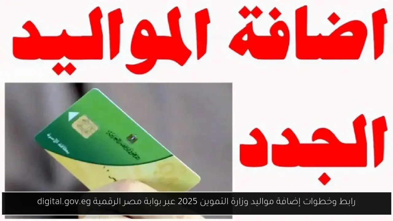 إضافة مواليد وزارة التموين