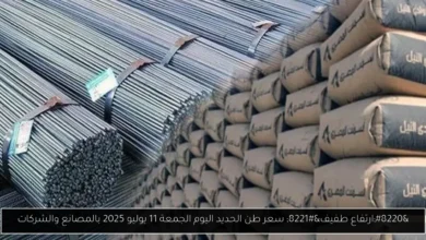 سعر طن الحديد اليوم