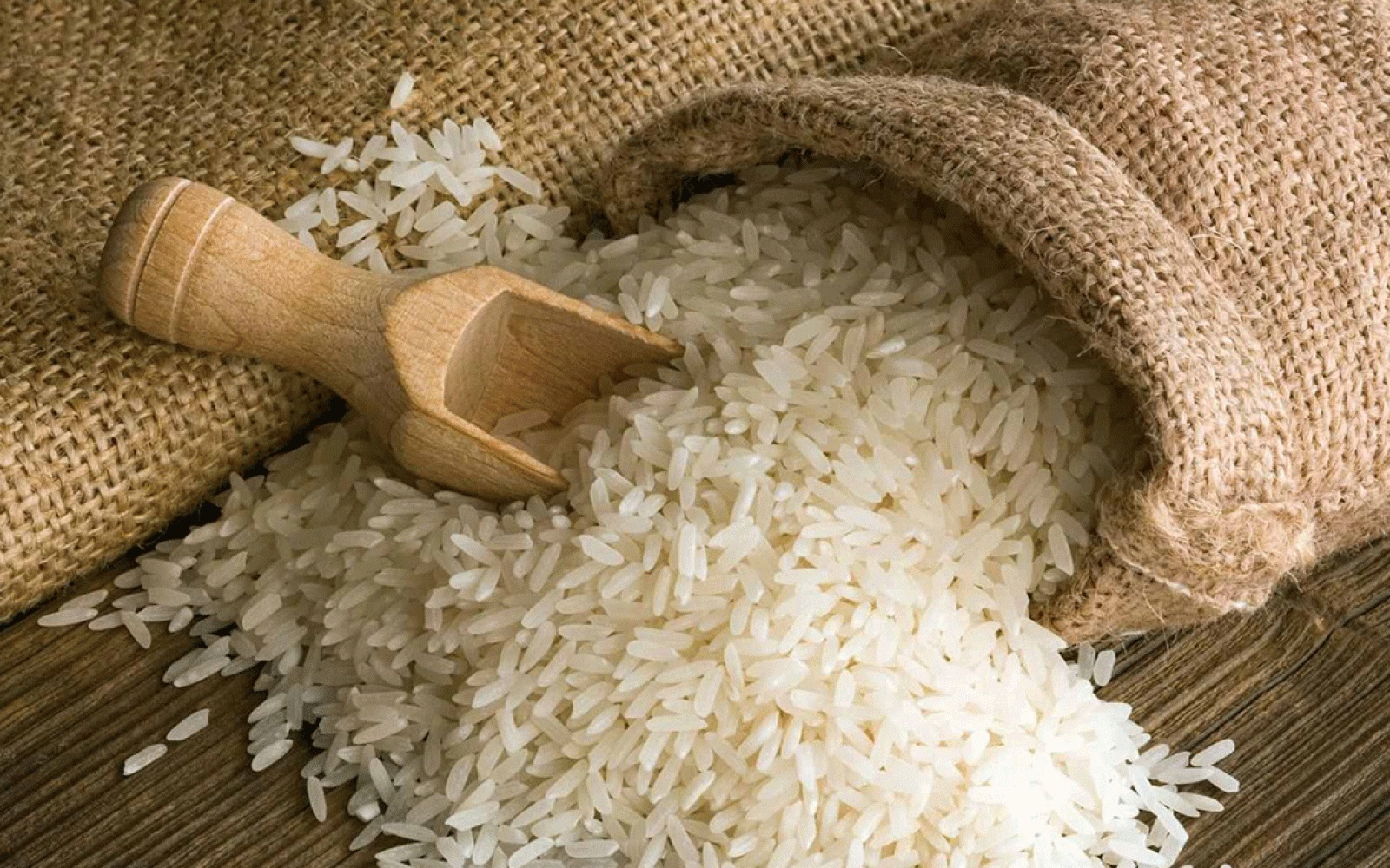 سعر الارز الشعير اليوم