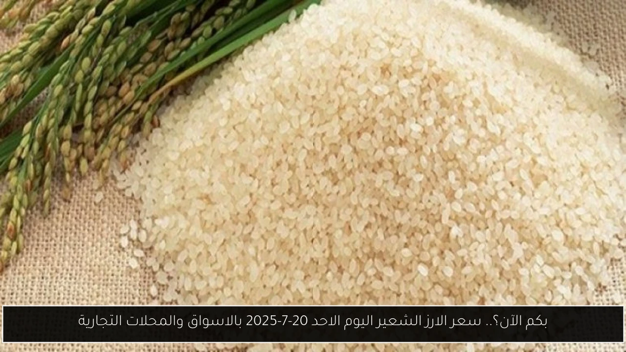 سعر الارز الشعير اليوم
