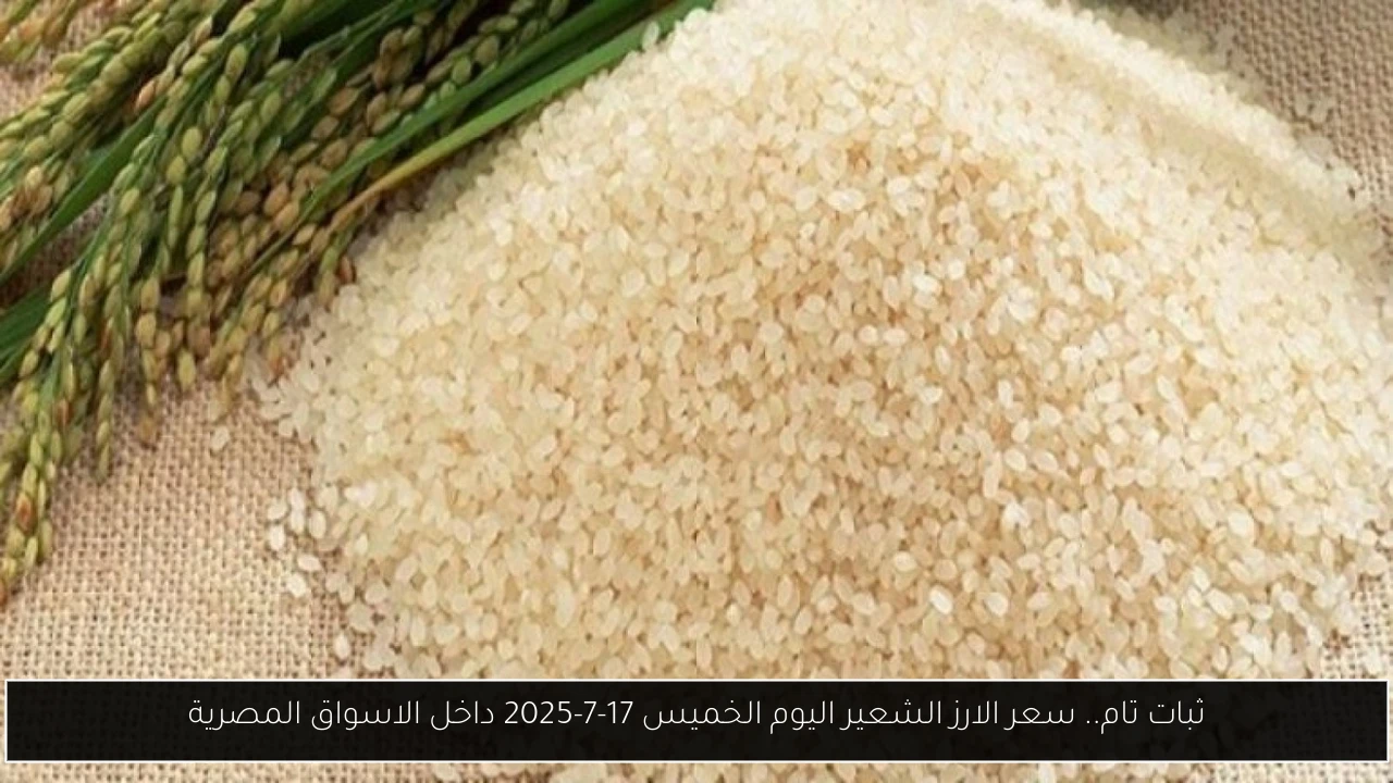 سعر الارز الشعير اليوم