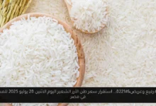 سعر طن الأرز الشعير اليوم