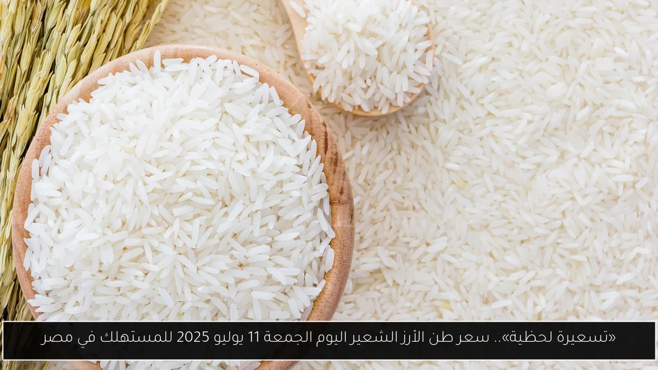 سعر طن الأرز الشعير اليوم