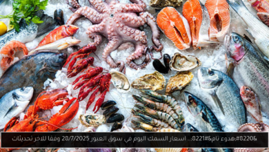 اسعار السمك اليوم