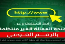 الاستعلام عن منحة العمالة الغير منتظمة 2025