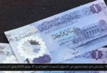 100 دينار ليبي كم جنيه مصري في السوق السوداء
