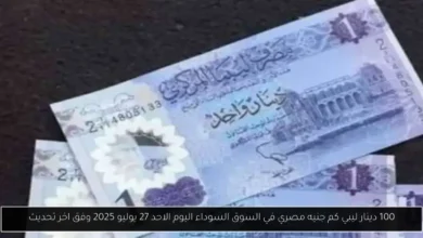 100 دينار ليبي كم جنيه مصري في السوق السوداء