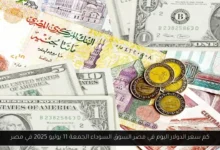 كم سعر الدولار اليوم في مصر السوق السوداء؟
