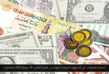أسعار العملات في السوق السوداء اليوم في مصر