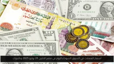 أسعار العملات في السوق السوداء اليوم في مصر